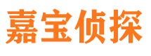 无为市侦探公司